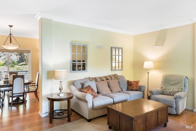 living room featuring light hardwood / wood-style floors and crown molding