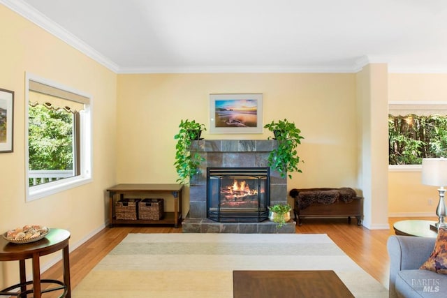 living room with crown molding, a fireplace, and hardwood / wood-style flooring