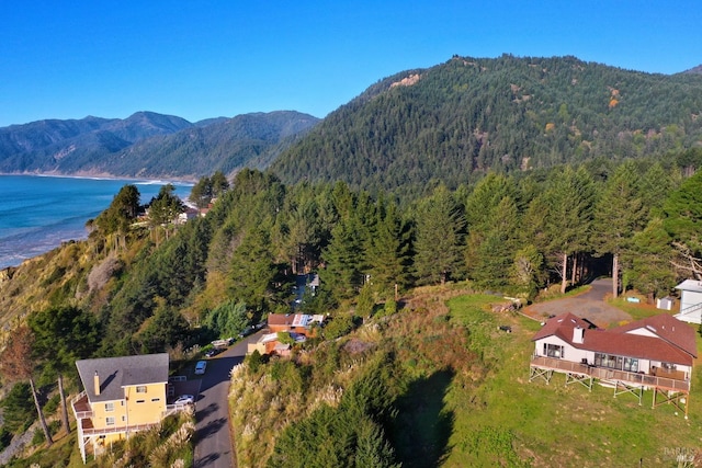 Listing photo 3 for 19 Seaview Pt, Whitethorn CA 95589