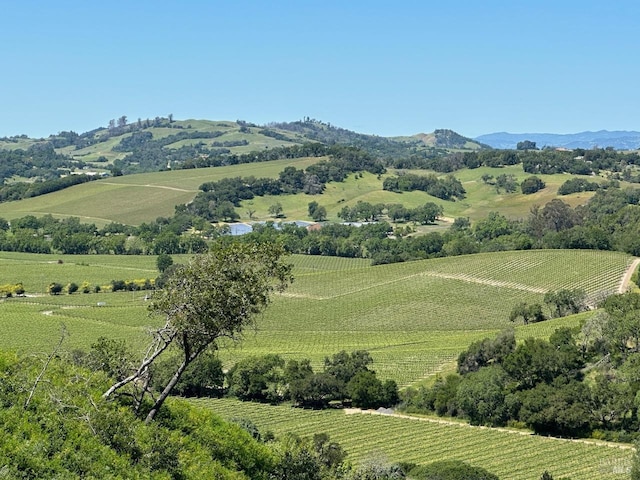 birds eye view of property with a mountain view and a rural view