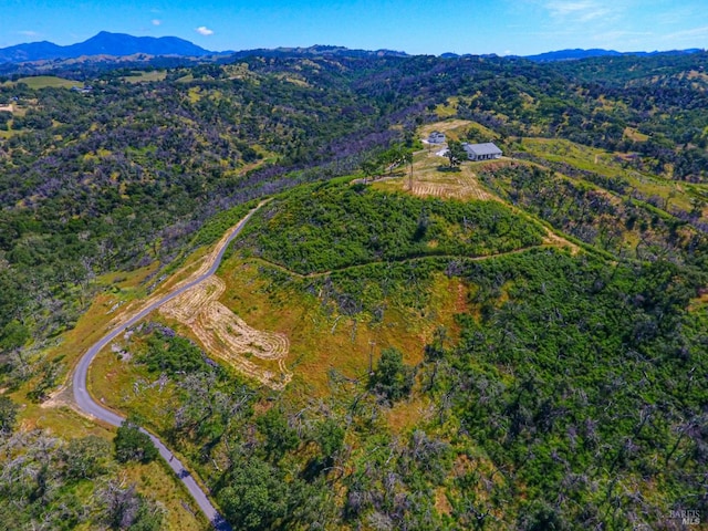 drone / aerial view featuring a mountain view