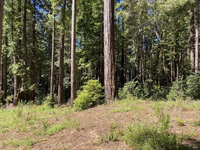 22206 Umland Cir, Jenner, CA 95450