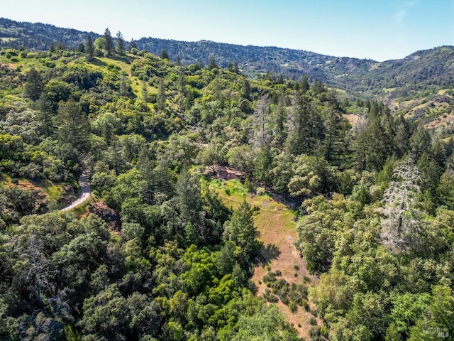 drone / aerial view featuring a mountain view