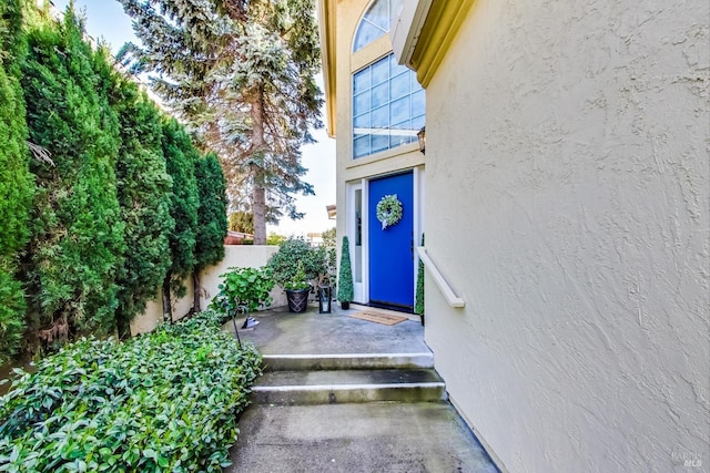 view of exterior entry featuring a patio area