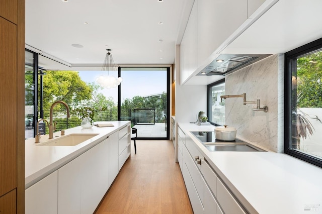 kitchen featuring white cabinetry, black electric cooktop, sink, and light hardwood / wood-style flooring