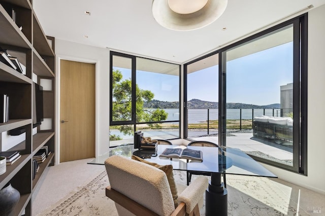 carpeted living room featuring a water and mountain view, plenty of natural light, and a wall of windows