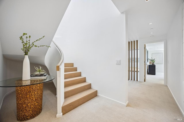 staircase featuring carpet