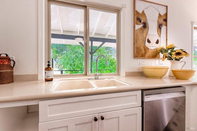 kitchen featuring white cabinets, sink, and stainless steel dishwasher