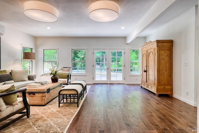 living room featuring french doors and wood-type flooring