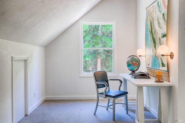 office space featuring carpet floors, a textured ceiling, and lofted ceiling