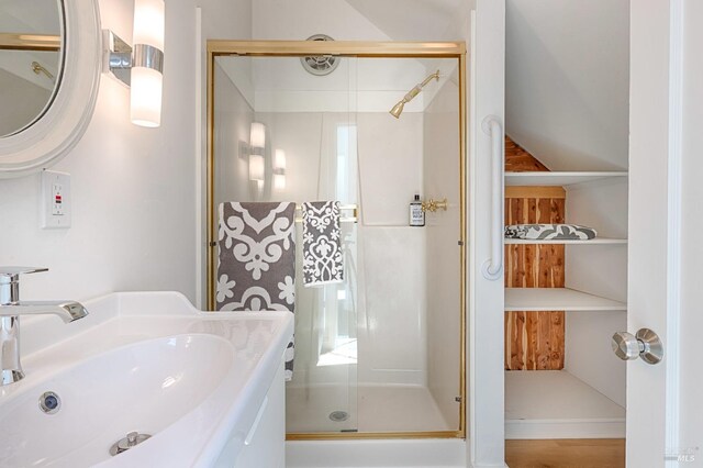 bathroom with a shower with shower door and vanity with extensive cabinet space