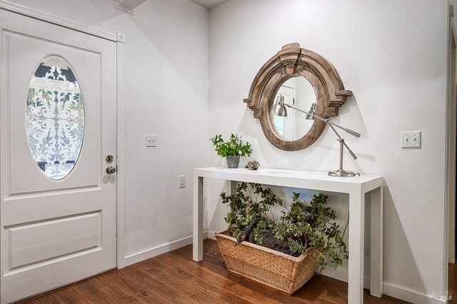 entryway featuring dark wood-type flooring