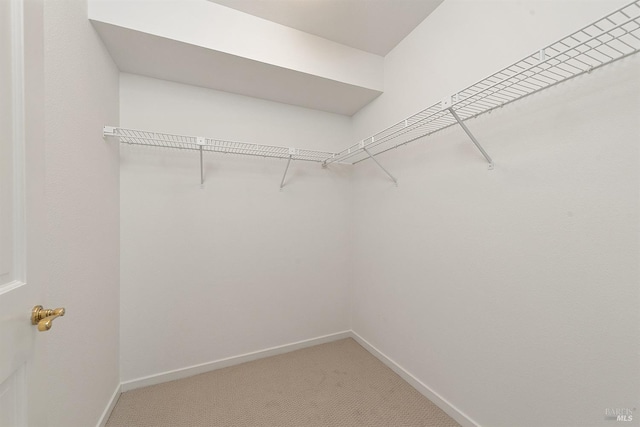 walk in closet featuring carpet