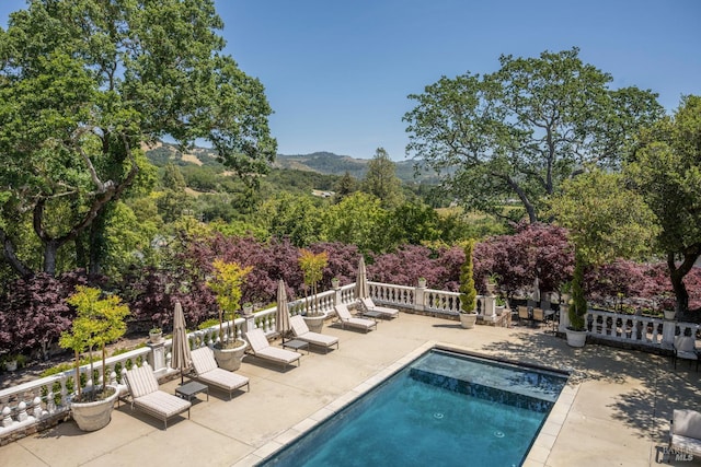 view of pool with a hot tub and a patio