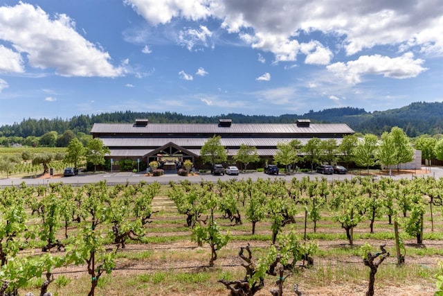 property view of mountains with a rural view