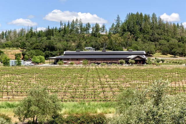 view of yard featuring a rural view