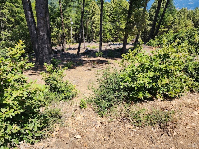 4350 Cahto Peak Dr, Branscomb CA, 95417 land for sale