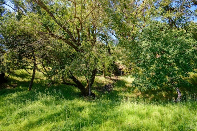 0 Sunnyhill Ln Unit 173, Napa CA, 94558 land for sale