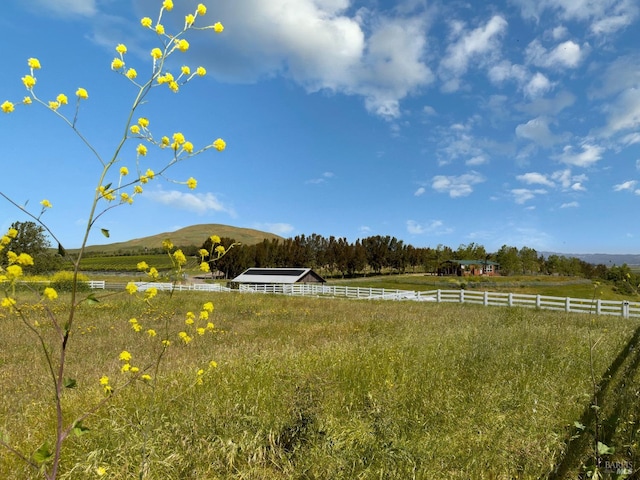 view of yard featuring a mountain view and a rural view