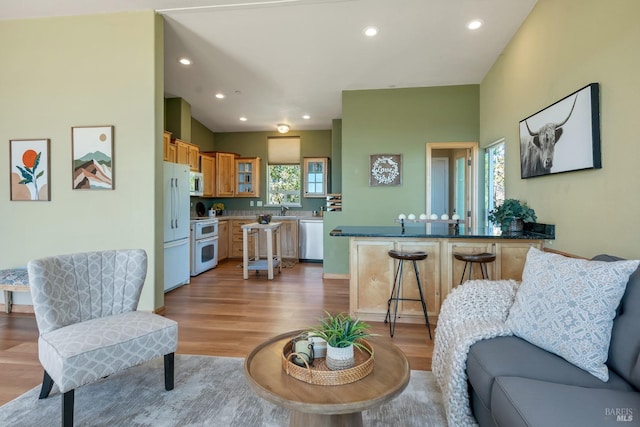 living room featuring light hardwood / wood-style flooring and sink