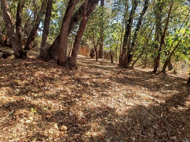 0 Poplar Ave, Willits, CA 95490