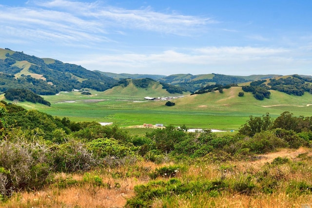 1004 Chileno Valley Rd, Petaluma CA, 94952 land for sale