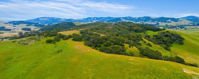 Listing photo 3 for 1004 Chileno Valley Rd, Petaluma CA 94952