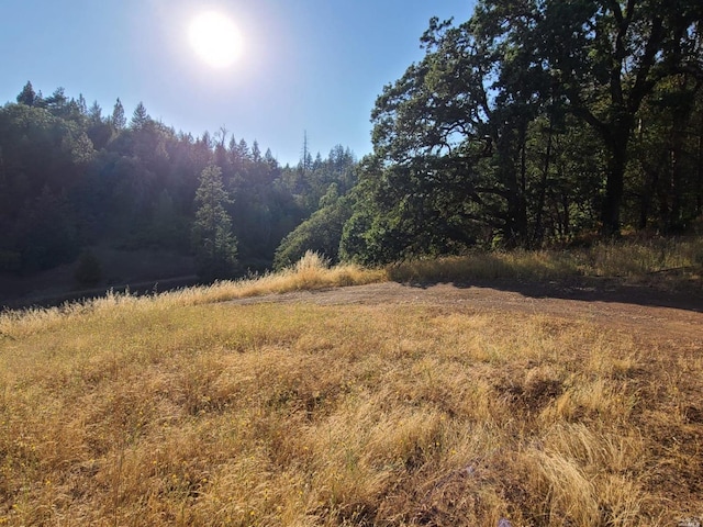 view of local wilderness