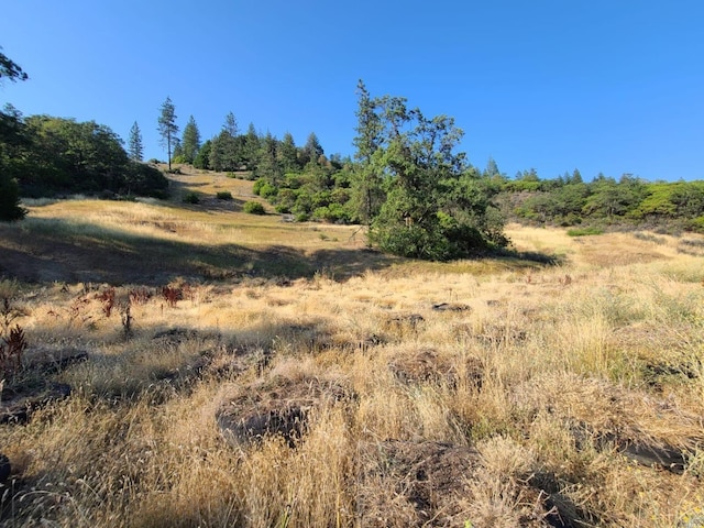 view of local wilderness featuring a rural view