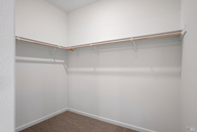 walk in closet featuring carpet