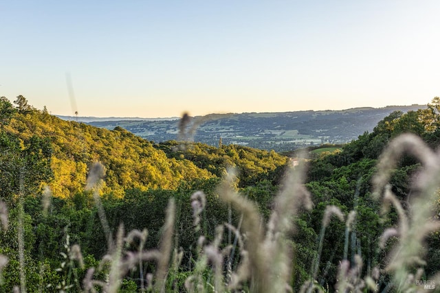 view of mountain feature featuring a wooded view