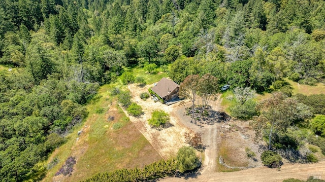aerial view with a wooded view