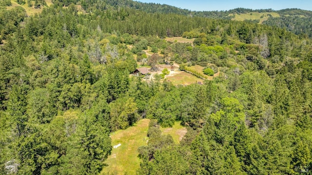 aerial view with a forest view
