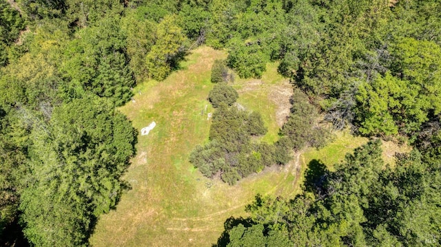 bird's eye view featuring a view of trees