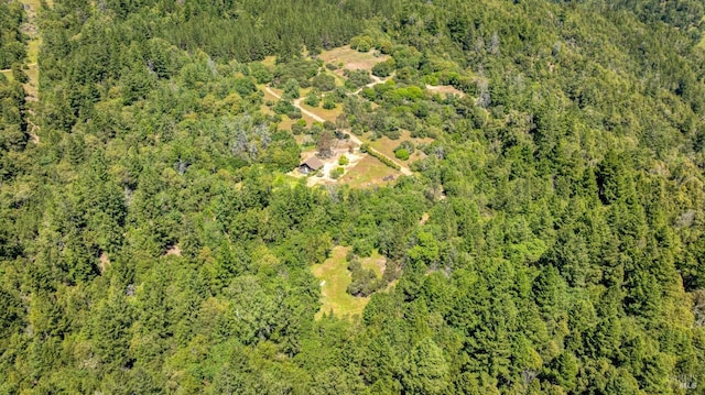 aerial view featuring a forest view
