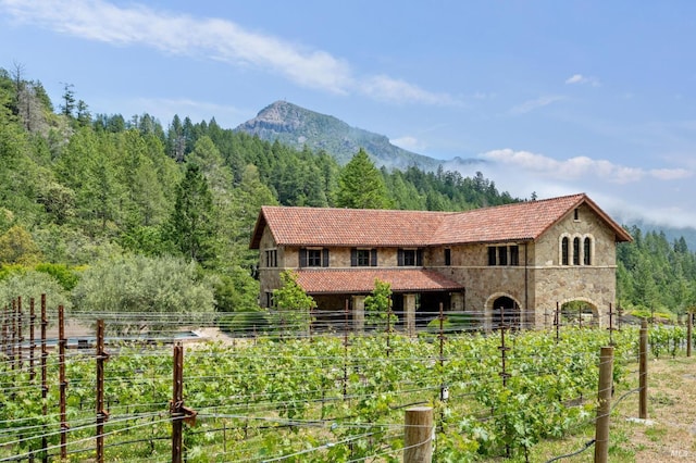 view of front of home with a mountain view and a rural view