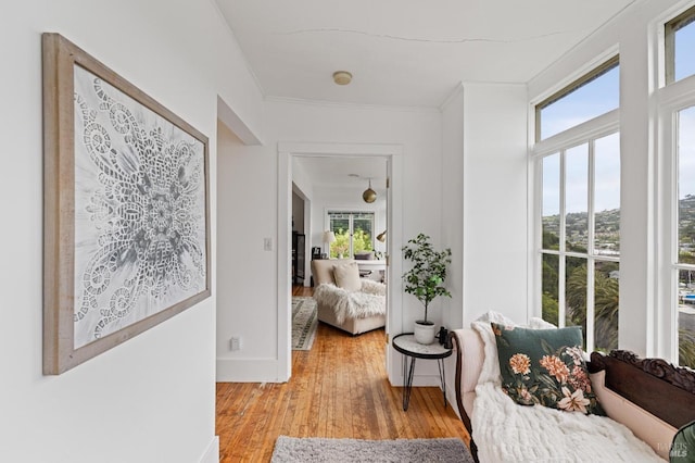 interior space with ornamental molding, a healthy amount of sunlight, and light hardwood / wood-style flooring