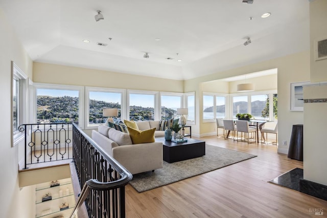 living room featuring light hardwood / wood-style flooring