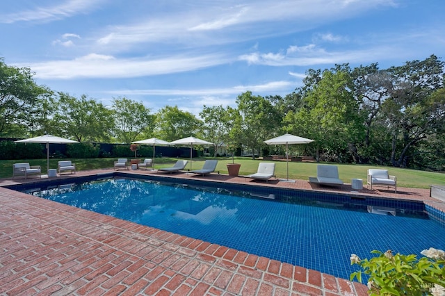 view of swimming pool with a yard and a patio area