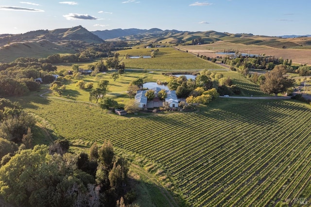 aerial view featuring a mountain view and a rural view