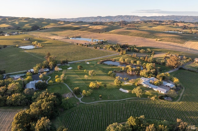 bird's eye view with a water view and a rural view