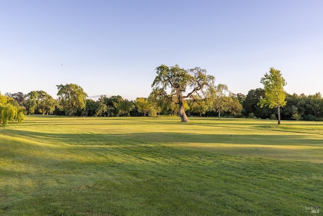 view of home's community featuring a lawn