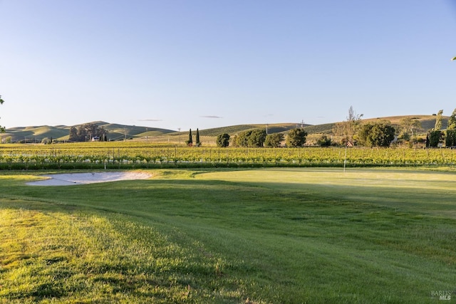 view of home's community featuring a mountain view, a yard, and a rural view