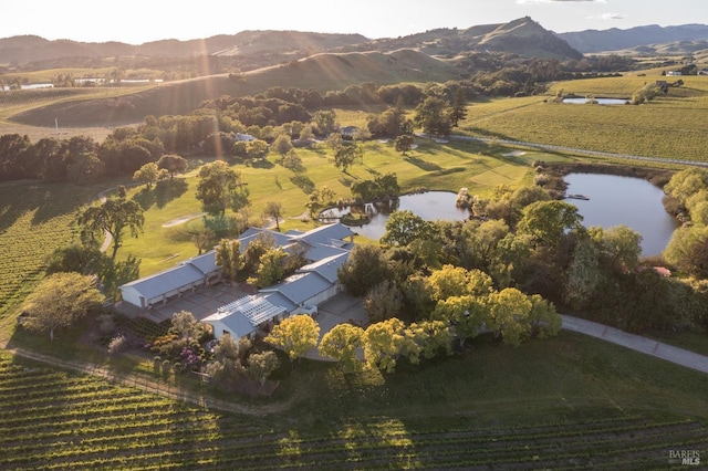 bird's eye view featuring a water and mountain view and a rural view