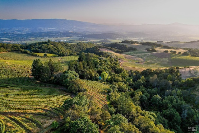 property view of mountains with a rural view and a wooded view