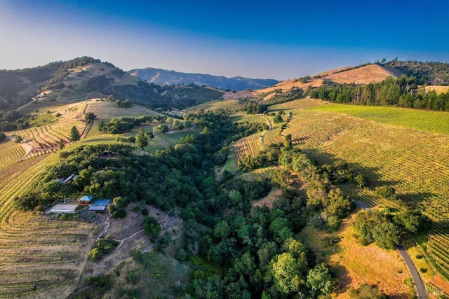 bird's eye view featuring a rural view and a mountain view