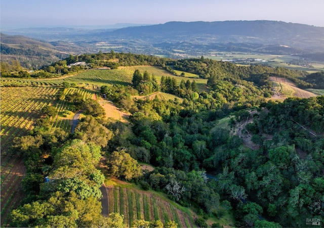 birds eye view of property featuring a mountain view, a rural view, and a forest view