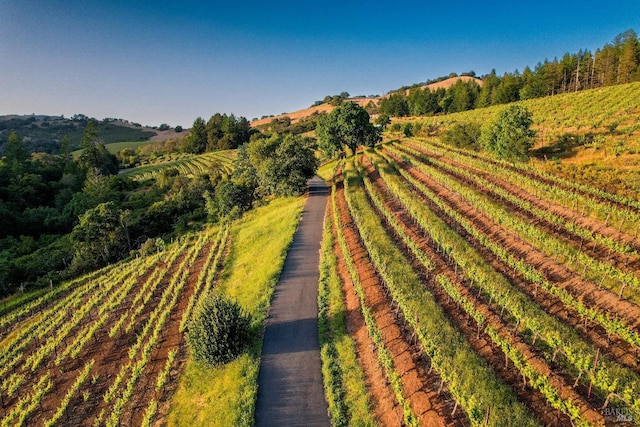 drone / aerial view with a rural view