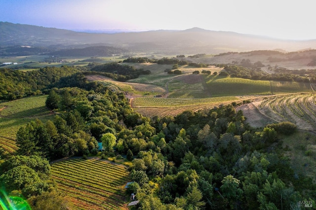 drone / aerial view featuring a rural view and a mountain view