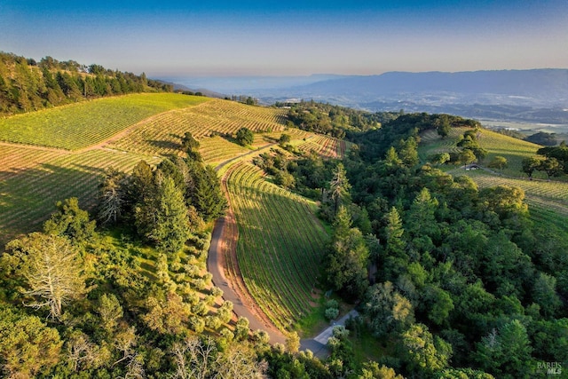 drone / aerial view featuring a rural view and a mountain view